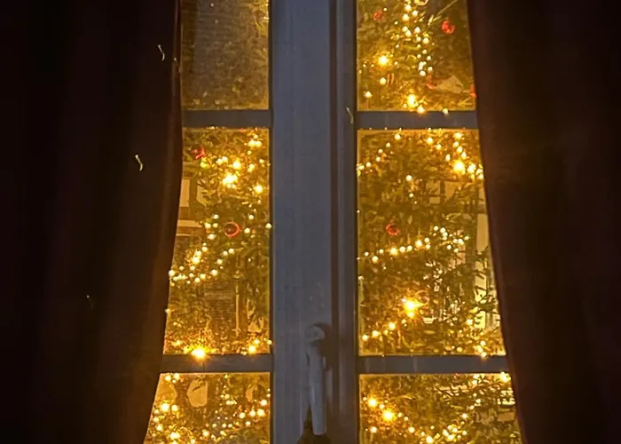 Centre Historique De La Foret De Maitre Le